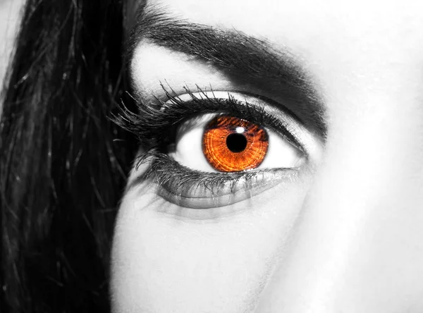 Femme oeil brun avec des cils extrêmement longs — Photo