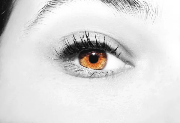 Beautiful insightful look brown eyes — Stock Photo, Image