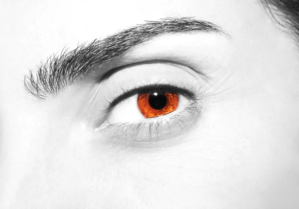 Krásné detailní pohled, hnědý oči — Stock fotografie