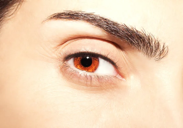 Schön erkenntnisreich aussehen braune Augen — Stockfoto