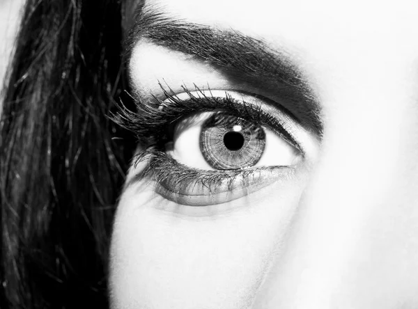 Vrouw oog met extreem lange wimpers — Stockfoto