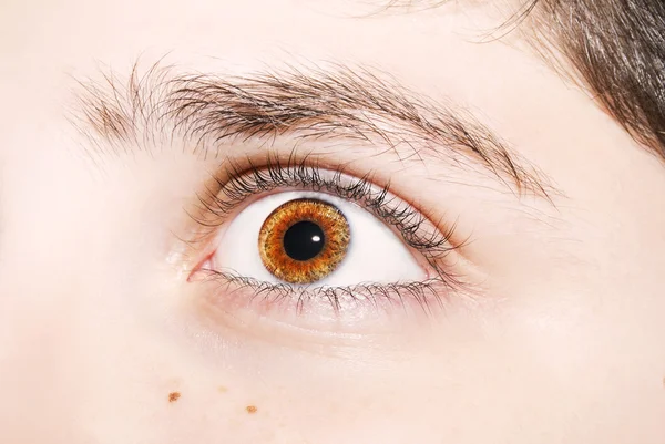 Detailní pohled na hnědé barevné oči — Stock fotografie