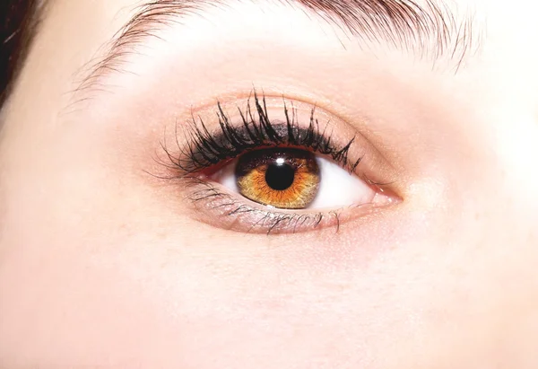 Hermosa mirada perspicaz ojos marrones — Foto de Stock