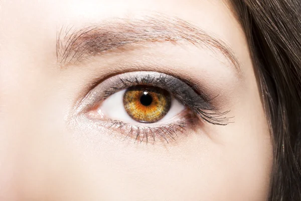 Augen Make-up. schöne Augen Make-up Detail, Wimpernverlängerung — Stockfoto