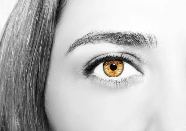 Красивый проницательный взгляд женские глаза — стоковое фото