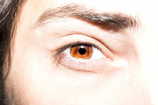 Image of man's brown eye close up. — Stock Photo, Image