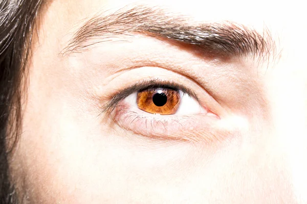 blutunterlaufene Augen — Stockfoto © Colour #3095114