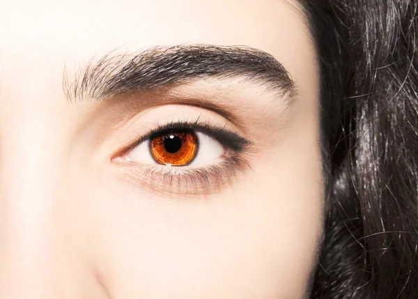 Belo olhar perspicaz olhos castanhos — Fotografia de Stock