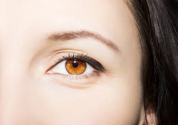 Vacker insiktsfull blick brun kvinnas ögon — Stockfoto