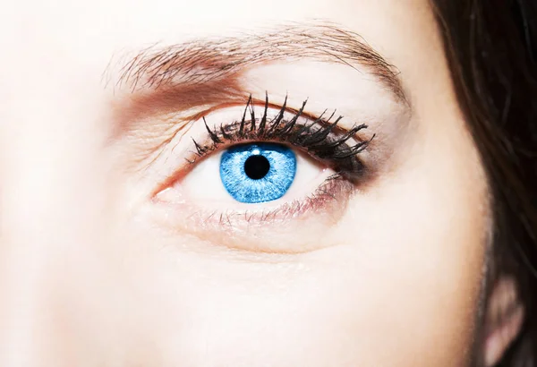 Schöner, aufschlussreicher Blick blaue Augen — Stockfoto