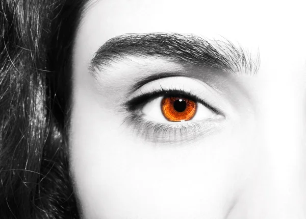 Belo olhar perspicaz olhos castanhos — Fotografia de Stock
