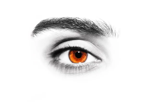 Smukke indsigtsfulde udseende brune øjne - Stock-foto