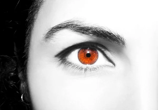 Szép éleslátó megjelenés barna szem — Stock Fotó