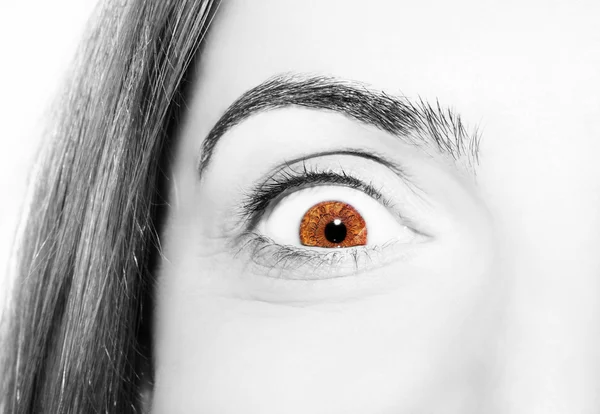 Красивый проницательный взгляд коричневый глаз — стоковое фото