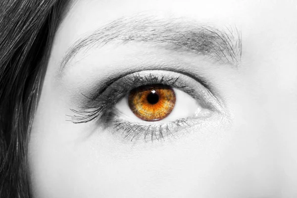 Makijaż oczu. Piękne oczy uzupełnić szczegóły, przedłużanie rzęs — Zdjęcie stockowe