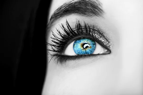 Красивый проницательный взгляд зеленые глаза — стоковое фото