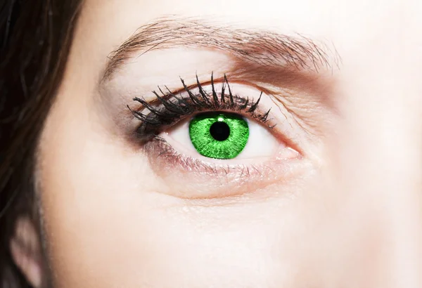 Красиві проникливі зелені очі — стокове фото