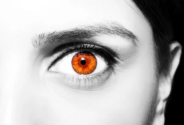 Krásné detailní pohled, hnědý oči — Stock fotografie