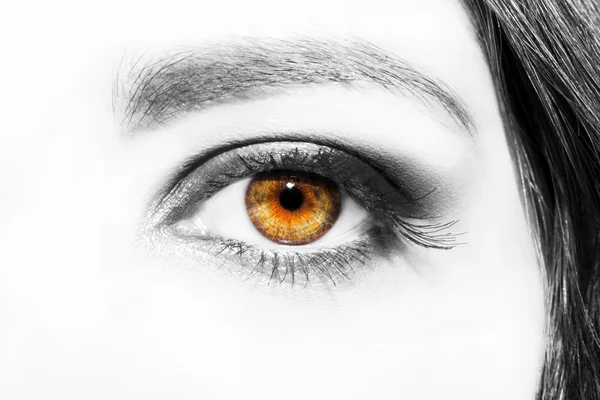 Augen Make-up. schöne Augen Make-up Detail, Wimpernverlängerung — Stockfoto