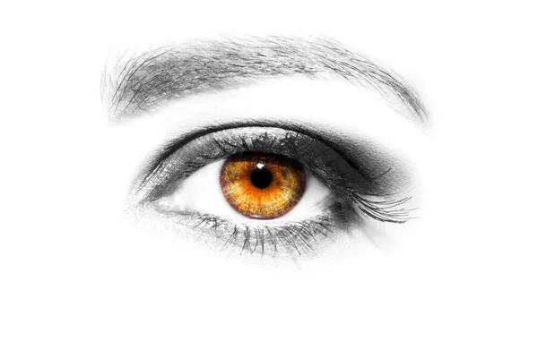 Augen Make-up. schöne Augen Make-up Detail, Wimpernverlängerung — Stockfoto