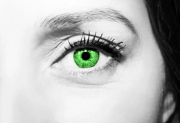 아름 다운 통찰력 보이는 녹색 눈 — 스톡 사진
