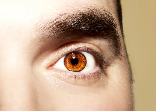 Image of man 's brown eye close up . — стоковое фото