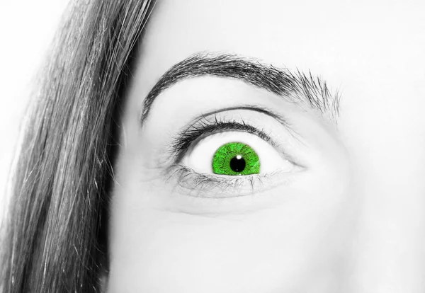 Красивый проницательный взгляд зеленые глаза — стоковое фото