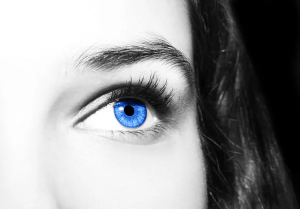 Beau regard perspicace yeux bleus des femmes — Photo