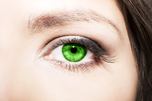 Augen Make-up. schöne Augen Make-up Detail, Wimpernverlängerung — Stockfoto