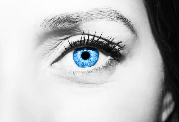 Krásné detailní pohled modré oči — Stock fotografie