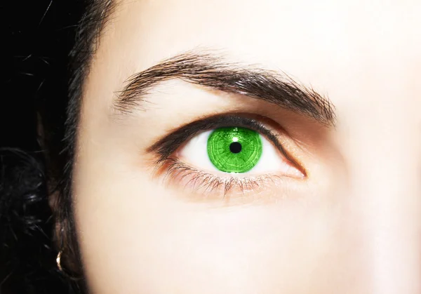Belo olhar perspicaz olhos de mulher verde — Fotografia de Stock