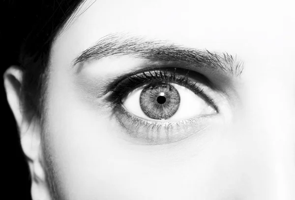 Belo olhar perspicaz olhos — Fotografia de Stock