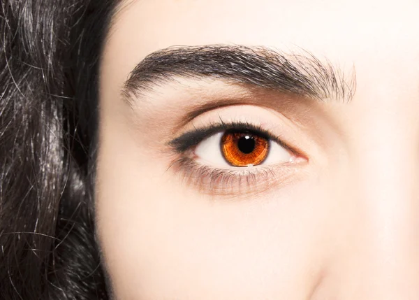 Hermosa mirada perspicaz ojos marrones —  Fotos de Stock