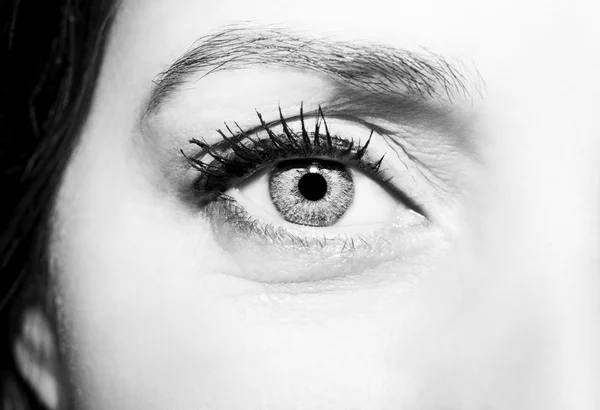 Beautiful insightful look women's eyes — Stock Photo, Image