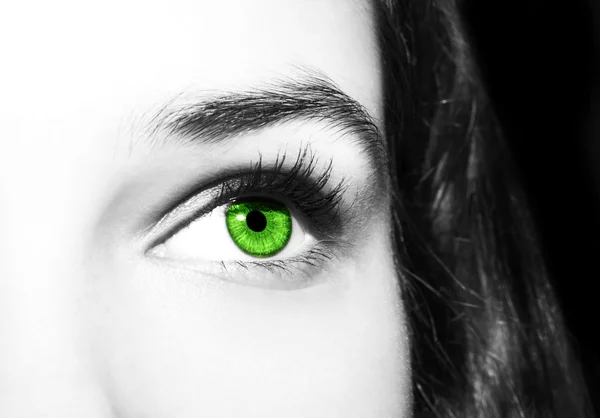 Hermosa mirada perspicaz ojos verdes de las mujeres —  Fotos de Stock