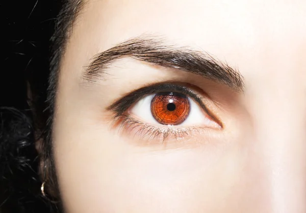 Gyönyörű éleslátó néz barna nő szeme — Stock Fotó