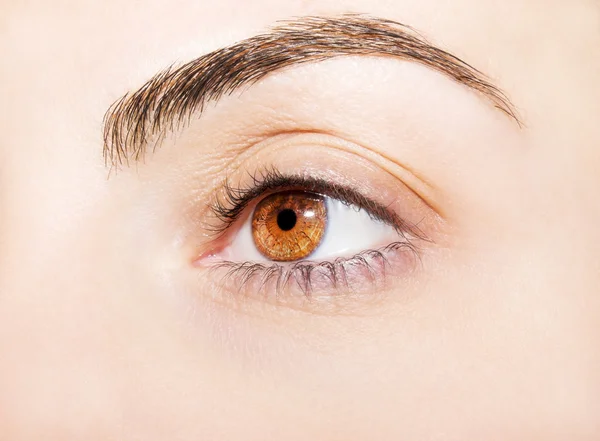 Una mirada perspicaz en un ojo marrón — Foto de Stock