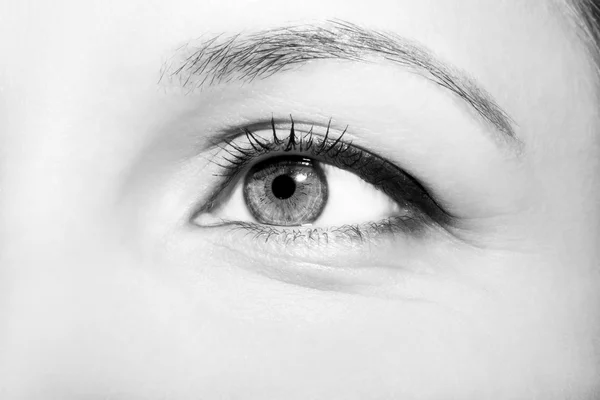 Krásný bystrý se ženské oči — Stock fotografie