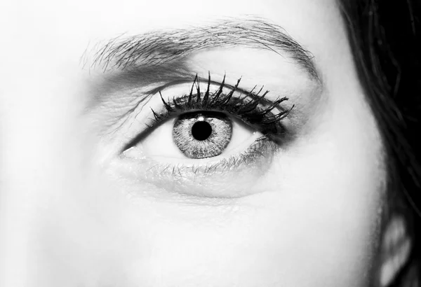 Красивий проникливий вигляд жіночих очей — стокове фото