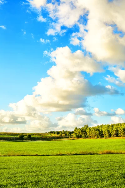 Hermoso paisaje con árboles, nubes y cielo azul — Foto de Stock