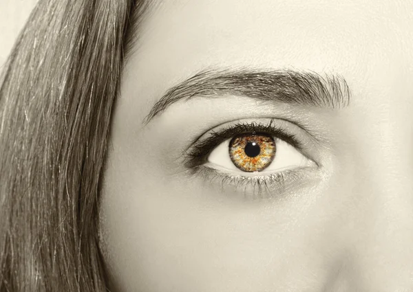 Красивий проникливий вигляд жіночих старовинних очей — стокове фото