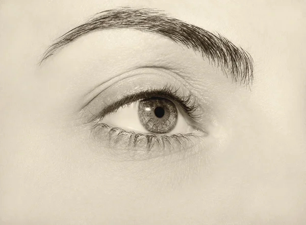 Hermosa mirada perspicaz ojos vintage de las mujeres — Foto de Stock