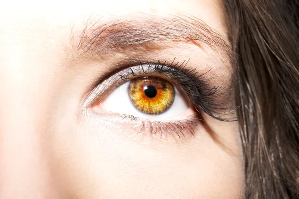 Maquillage des yeux. Beaux yeux Détail du maquillage, extension des cils — Photo