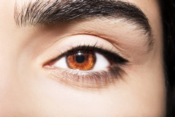 Gyönyörű éleslátó néz barna nő szeme — Stock Fotó