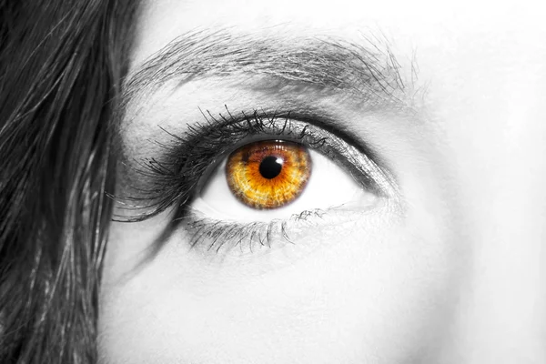 Augen Make-up. schöne Augen Make-up Detail, Wimpernverlängerung — Stockfoto