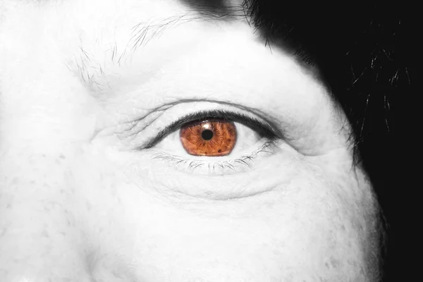 Güzel anlayışlı bakışlar Kahverengi kadın gözleri — Stok fotoğraf