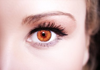 Güzel anlayışlı bakışlar Kahverengi kadın gözleri