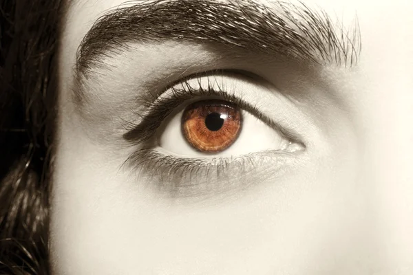 Beautiful insightful look vintage woman's eyes — Stock Photo, Image