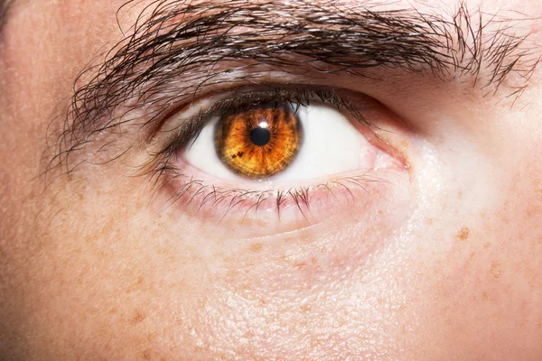 Immagine dell'occhio bruno dell'uomo da vicino . — Foto Stock