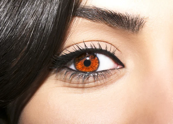 Frau braunes Auge mit extrem langen Wimpern — Stockfoto